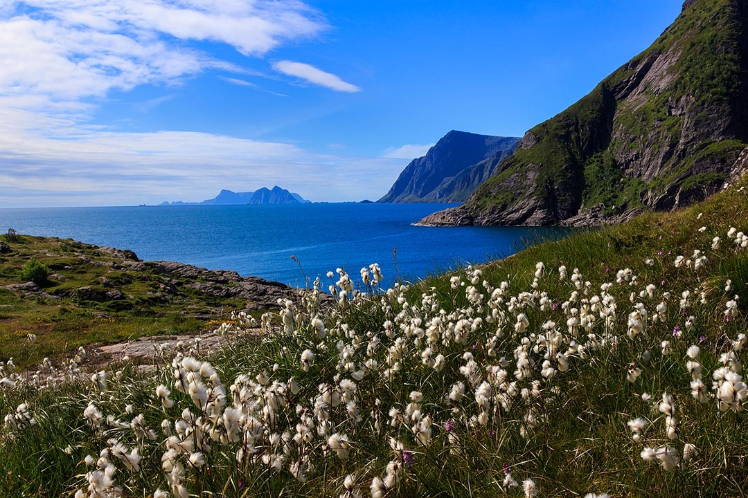 The Midnight Sun Lofoten - MARAT STEPANOFF PHOTOGRAPHY