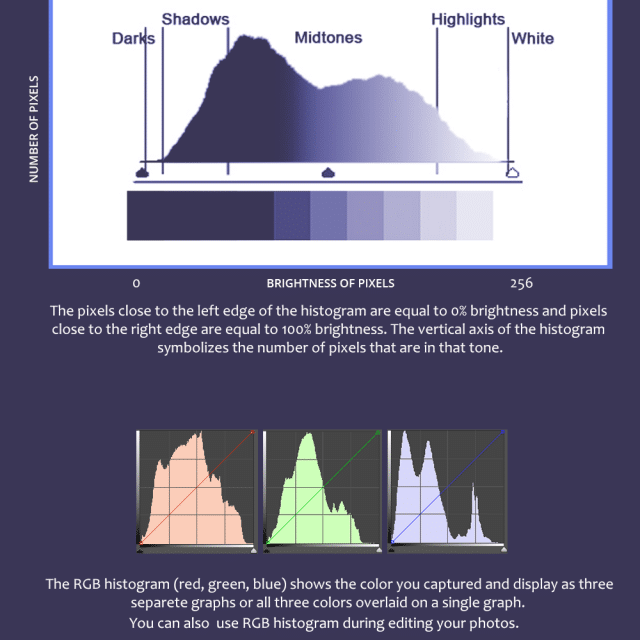 How to read a Histogram. Infographics