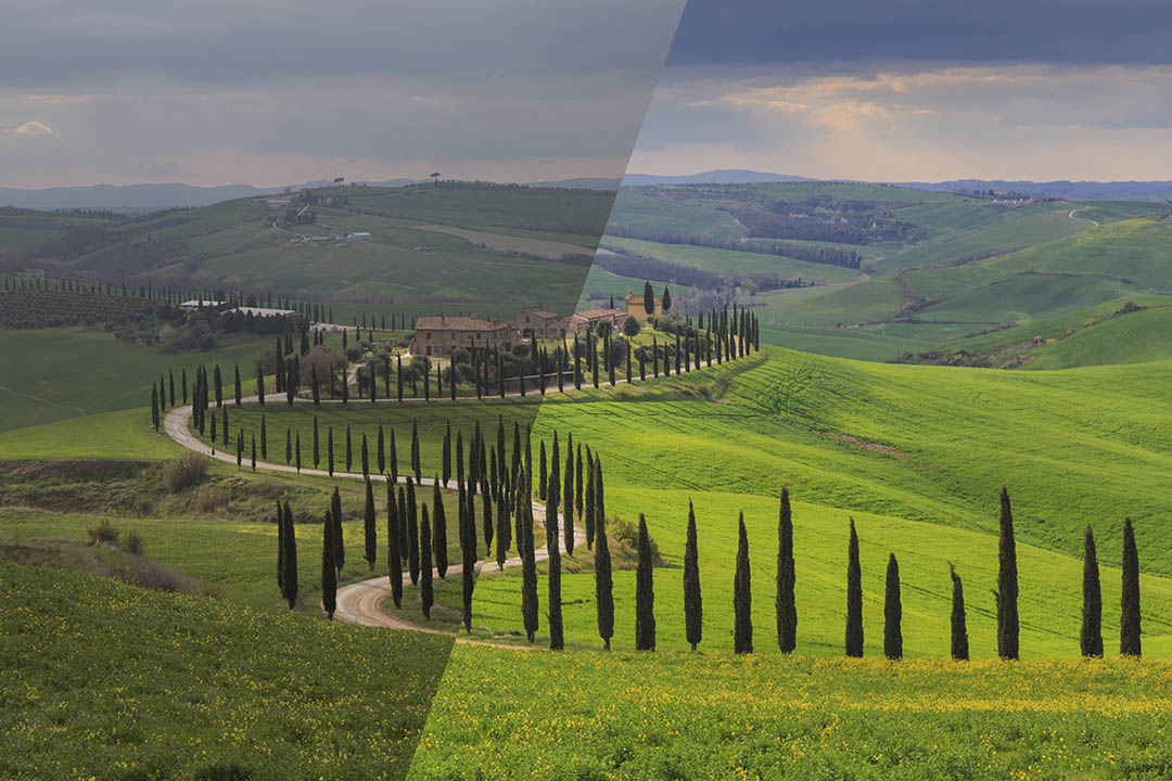Tuscany Collection 50-3
