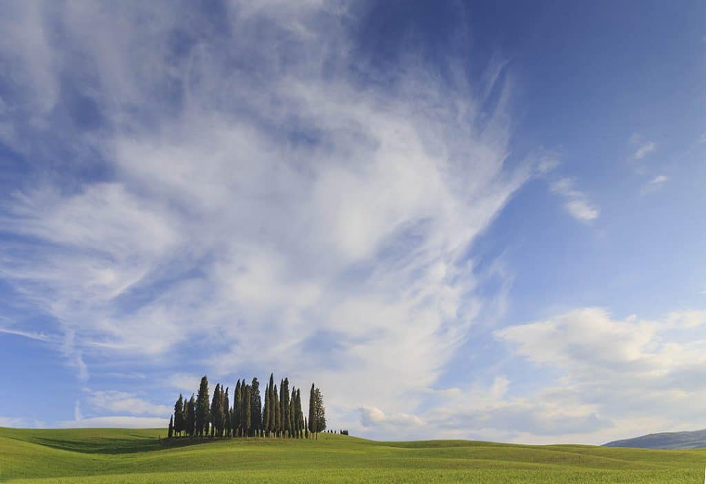 The Cypresses of San Quirico d’Orcia